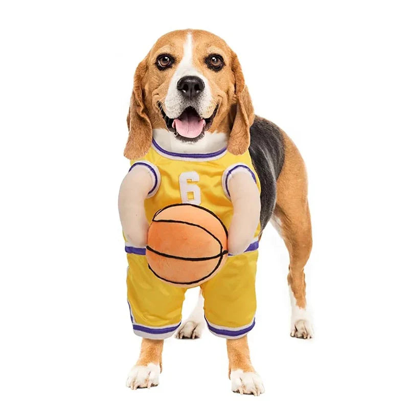 Déguisement Basketteur pour Chien
