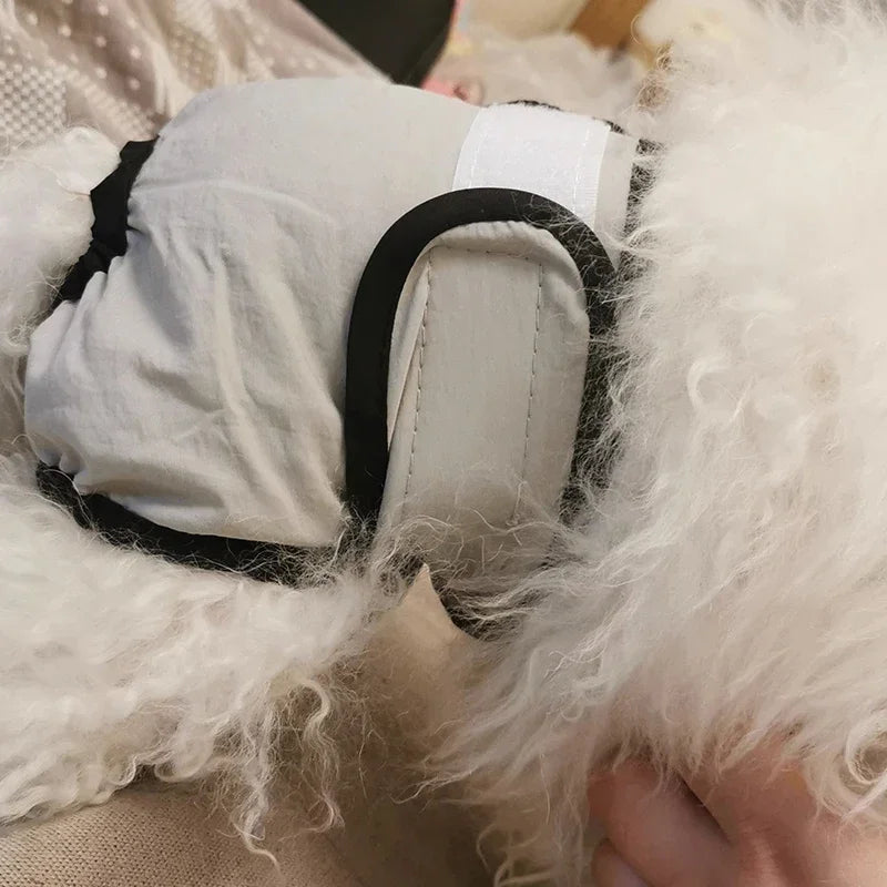 Couche Lavable pour Chien Incontinent