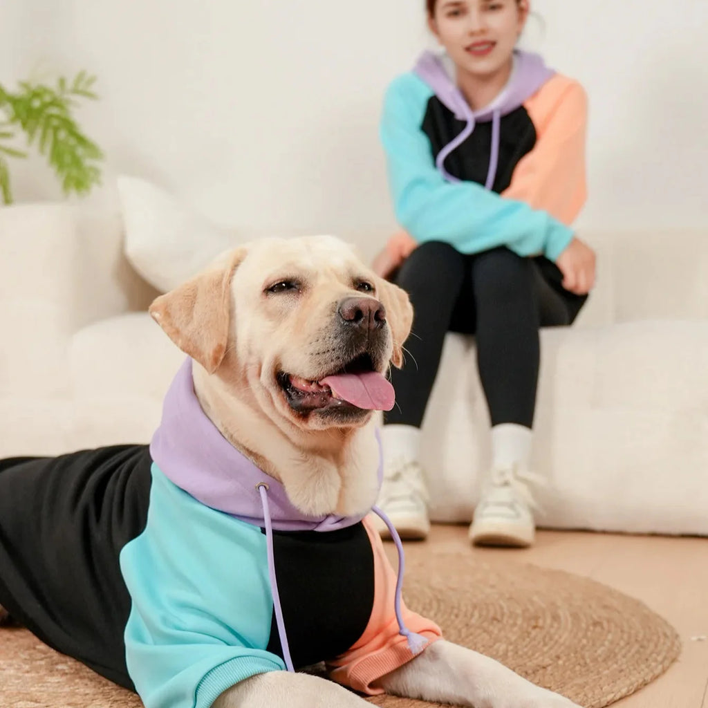 Sweat Chien et Humain Assortis