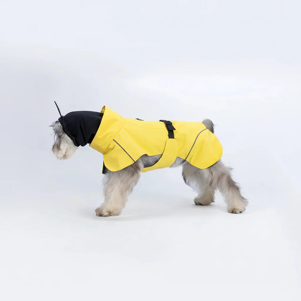Imperméable Pour Chien Avec Trou De Laisse