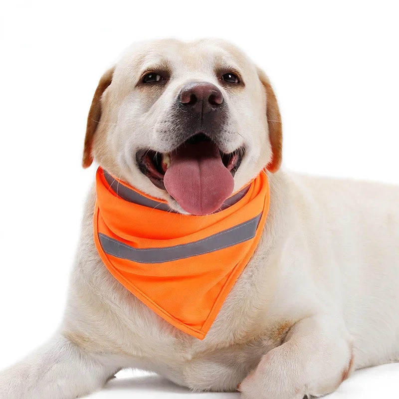 Bandana Réfléchissant Chien