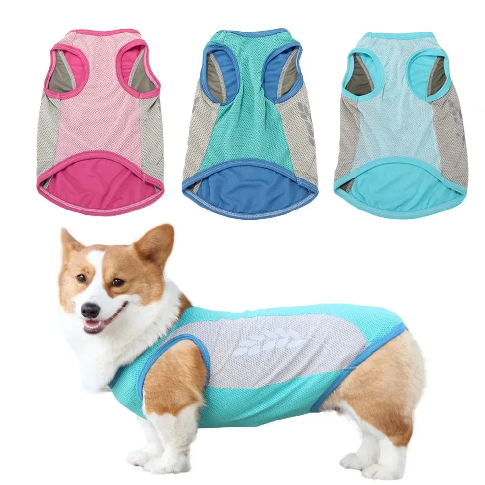Gilet Rafraîchissant pour Grand Chien