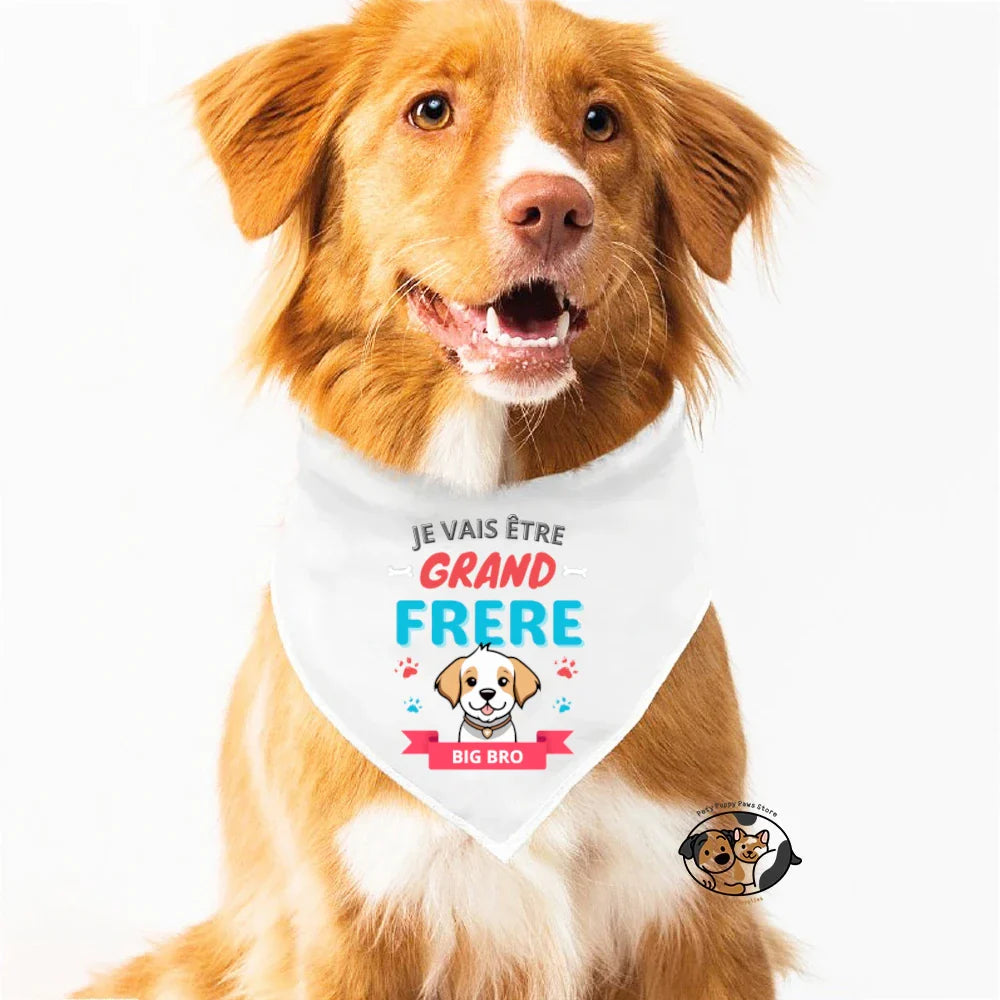 Bandana Chien Grand Frère