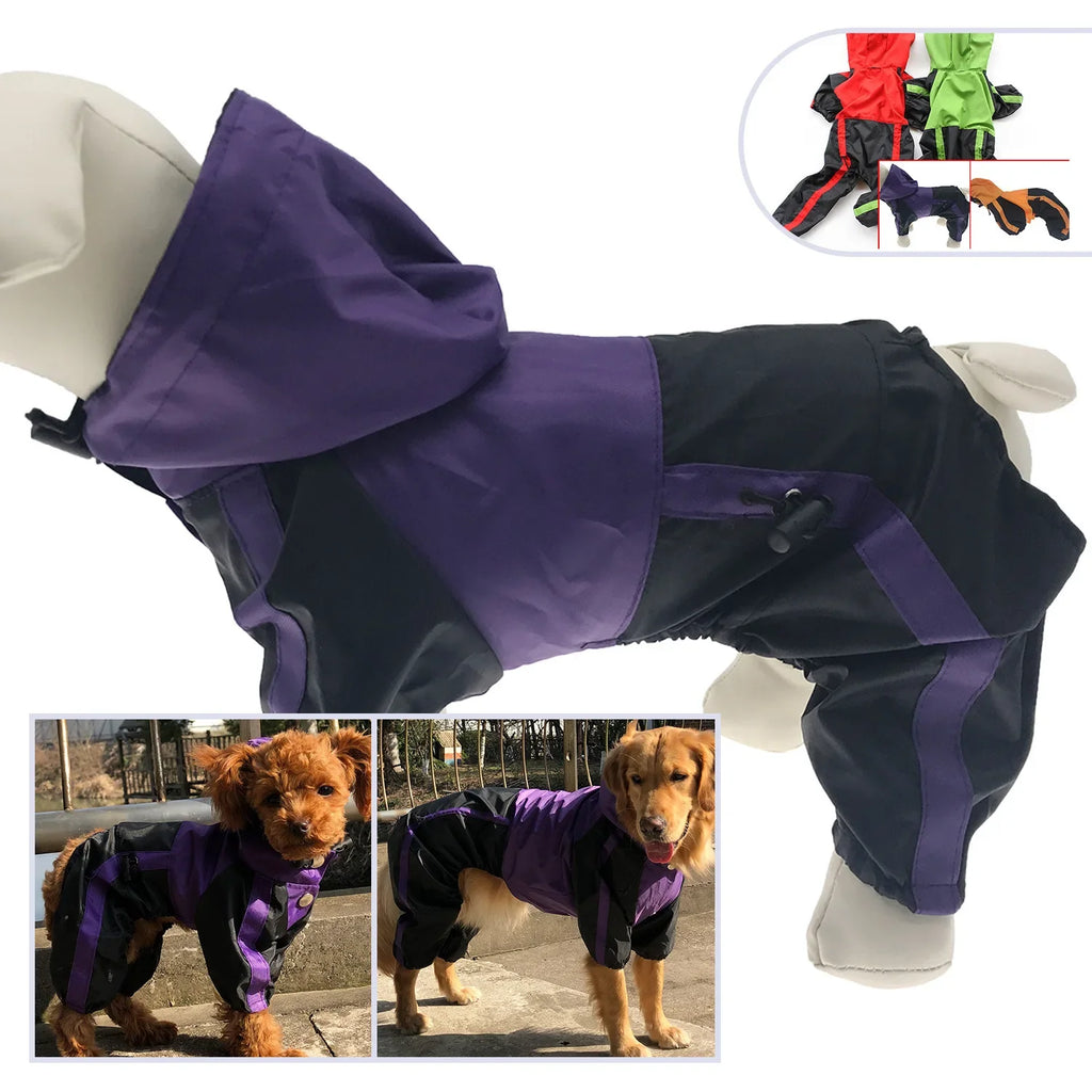 Manteau Chien Bull Terrier