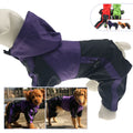 Manteau Chien Bull Terrier