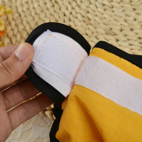 Couche Lavable pour Chien Incontinent