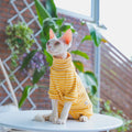 Pull Jaune Chat