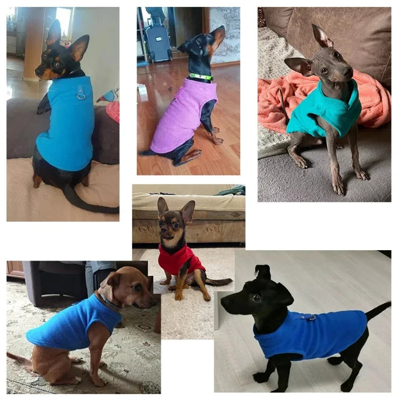 Veste Polaire Chien