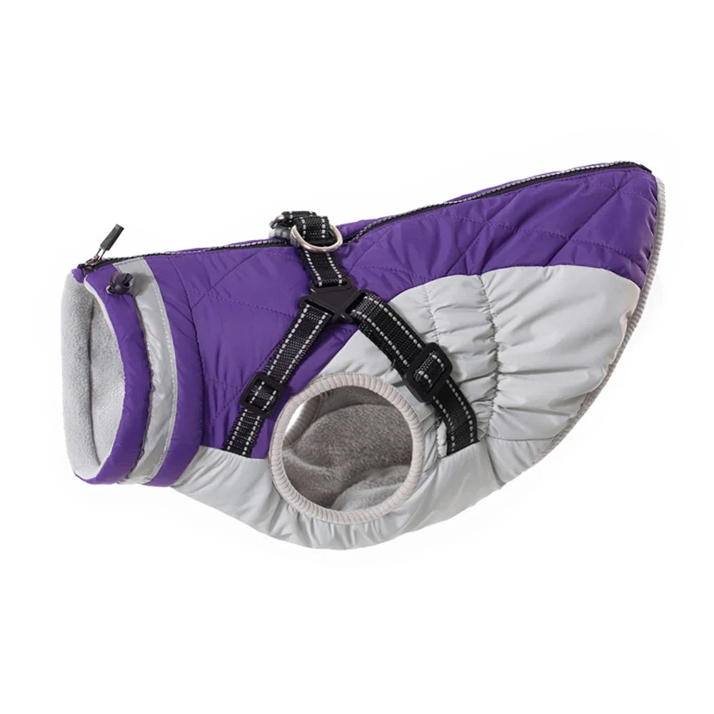 Manteau Chien Harnais Intégré