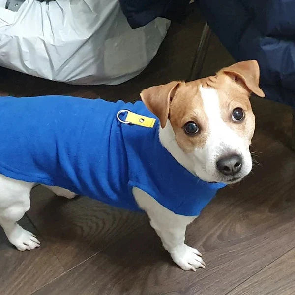 Veste Polaire Chien