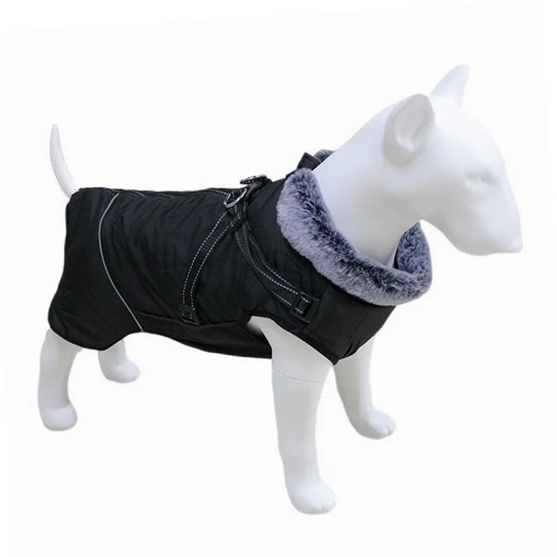 Veste Fourrure Chien