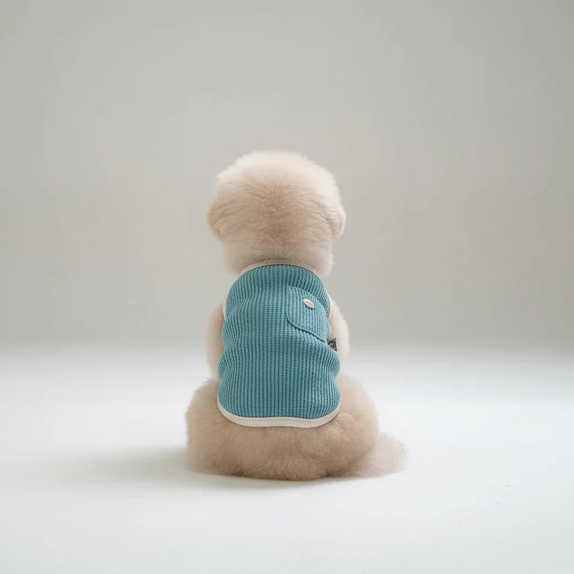 T-shirt Sans Manches Pour Petit Chien