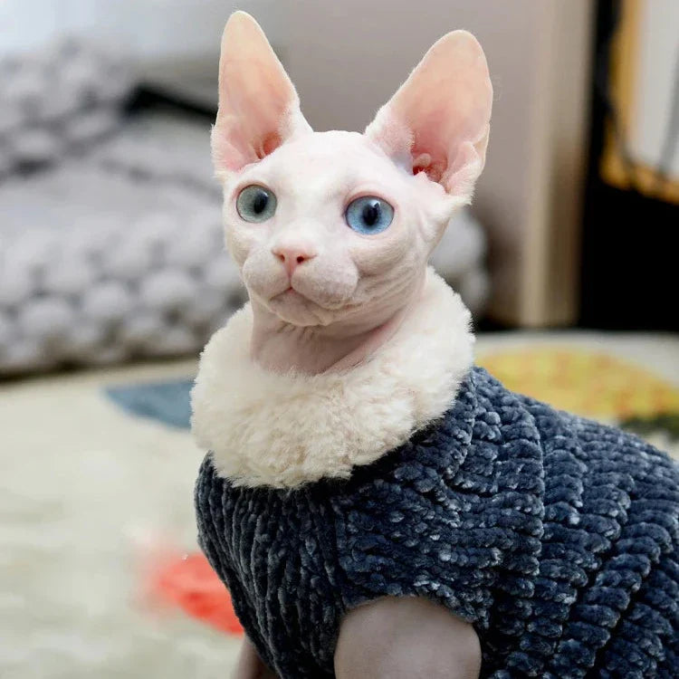 Pull à Fourrure pour Chat
