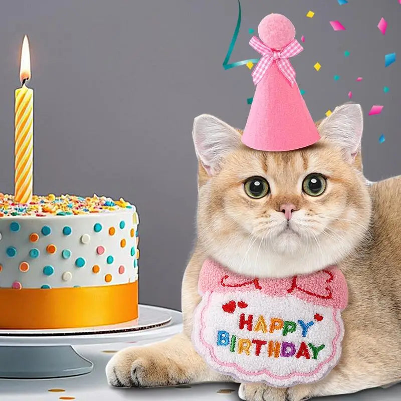 Chapeau Anniversaire Chat