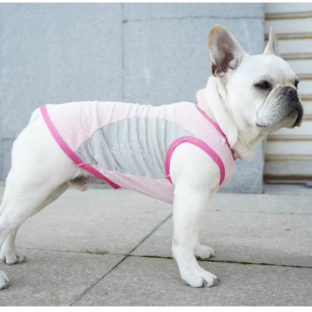 Gilet Rafraîchissant pour Grand Chien