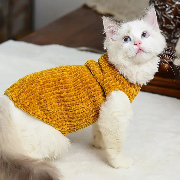 Pull à Fourrure pour Chat