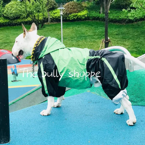 Manteau Chien Bull Terrier