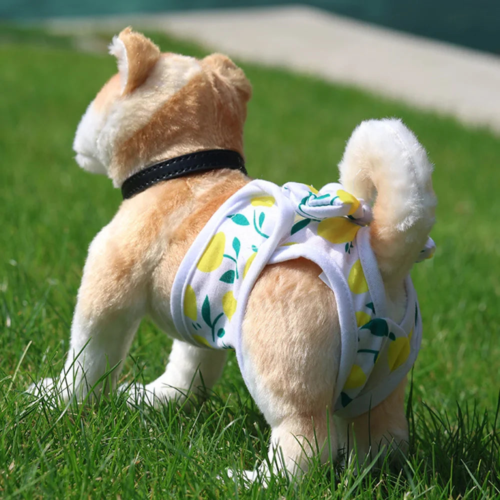 Culotte Hygiénique pour Chienne