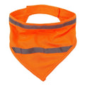 Bandana Réfléchissant Chien