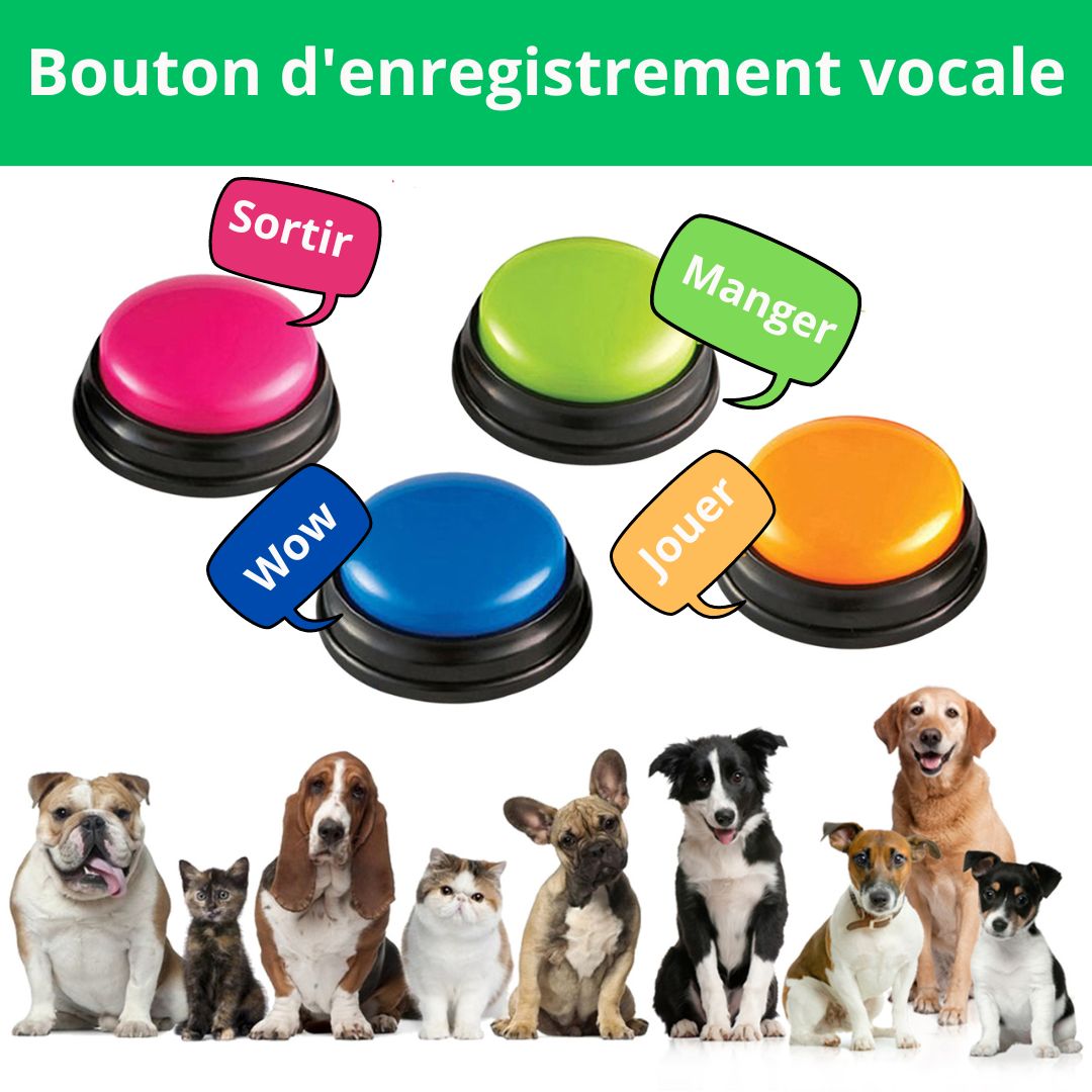 Bouton vocale | PawPlay™