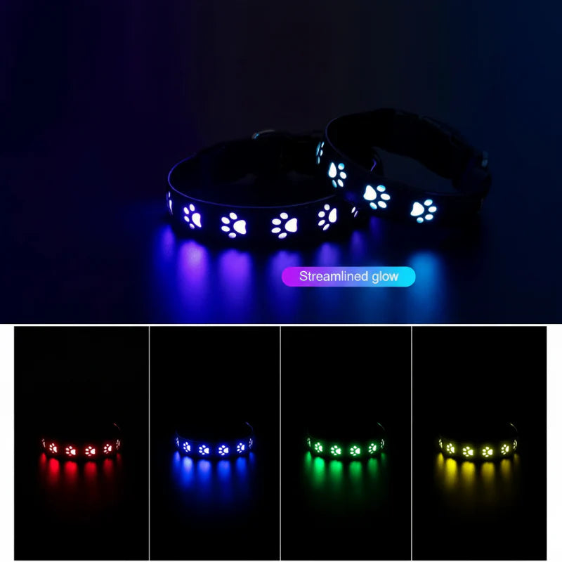 Collier LED Multicolore 7 Modes Pour Chat et Chien