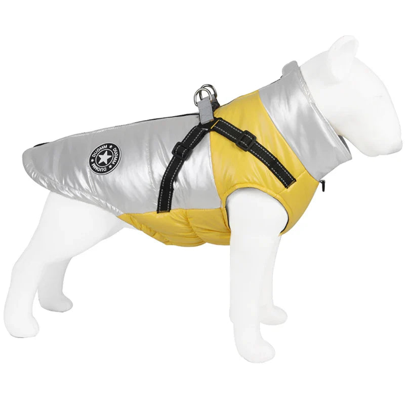 Manteau Jack Russel / Petit Chien
