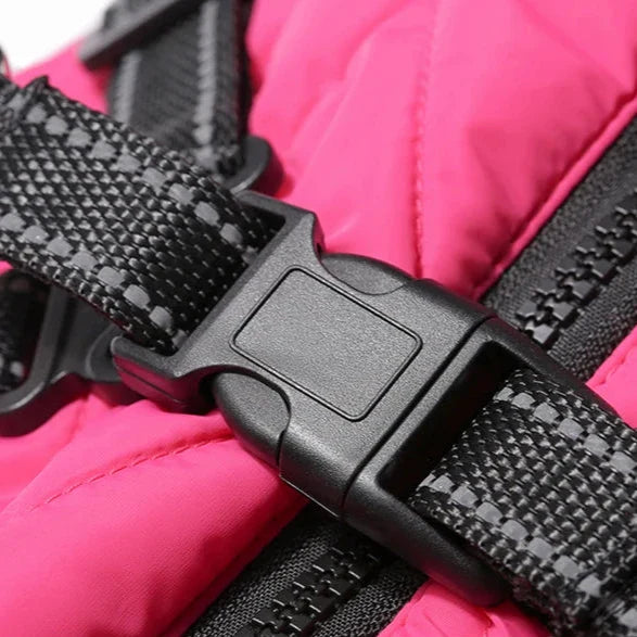 Manteau Chien Harnais Intégré