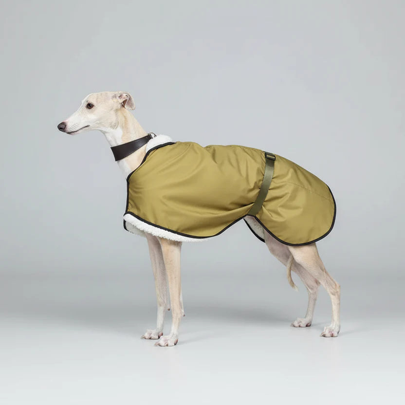 Imperméable En Polaire Doux Et Chaud Pour Lévrier Et Whippet