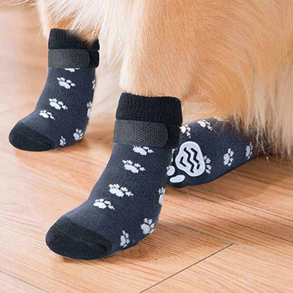 Chaussette pour Chien Parquet Antidérapant