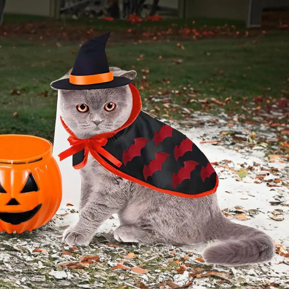 Déguisement Halloween Chat