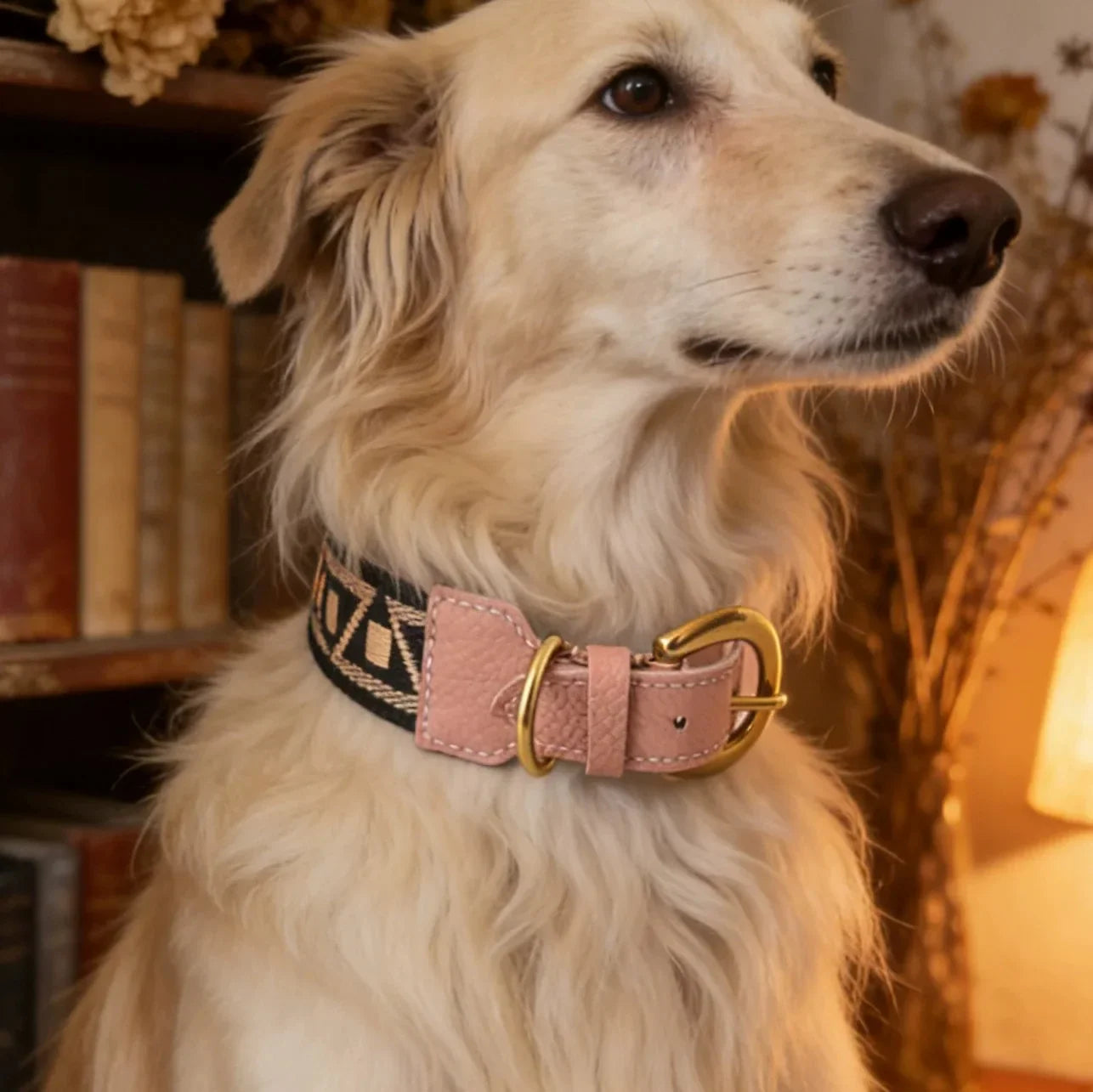 Collier Et Laisse Pour Chien En Cuir Véritable Style Bohème