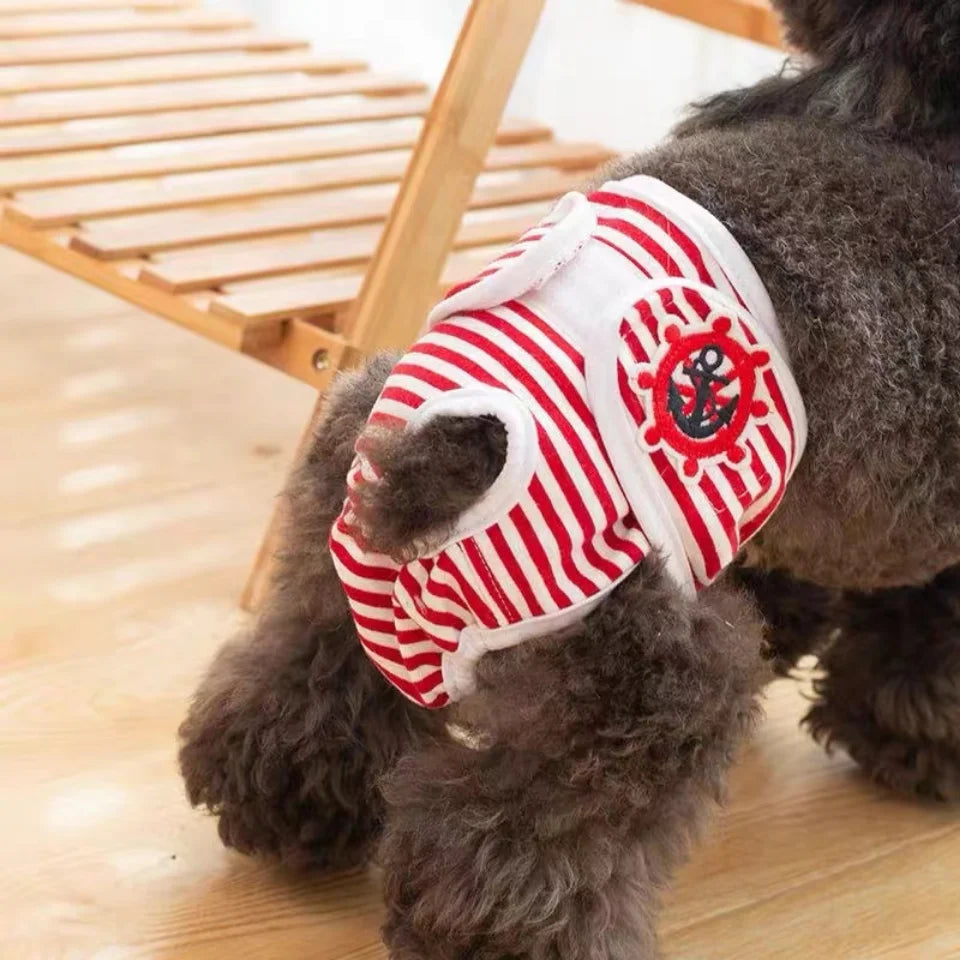 Culotte Menstruelle / Incontinence Chien