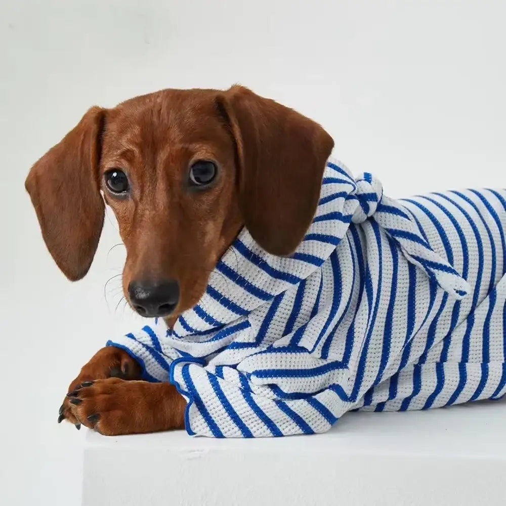 Tee-shirt à Capuche  Rayé Pour Chiens Teckel