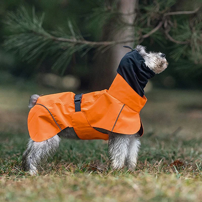 Imperméable Pour Chien Avec Trou De Laisse