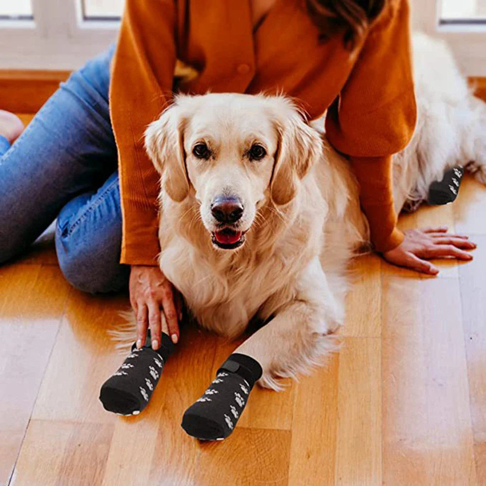 Chaussette pour Chien Parquet Antidérapant