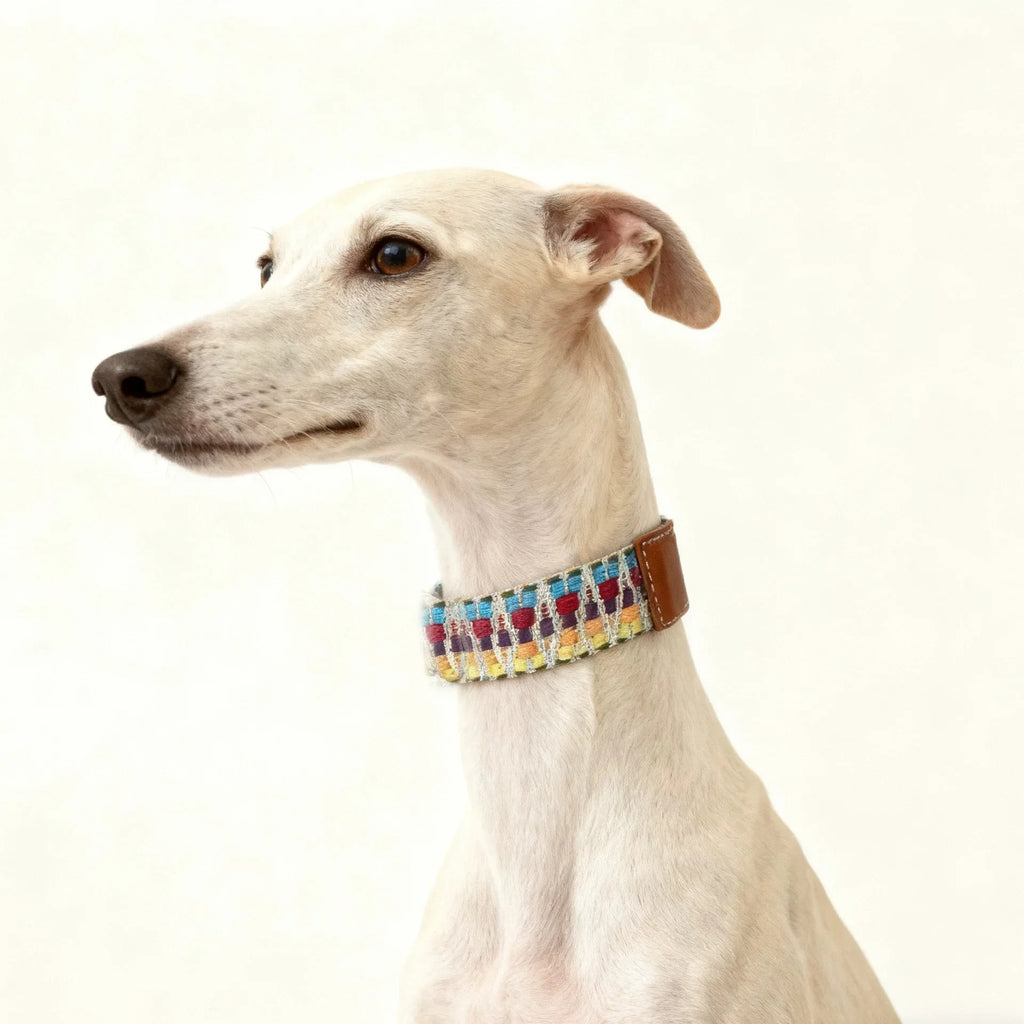 Collier Pour Chien Bohème Tissé À La Main En Cuir Durable