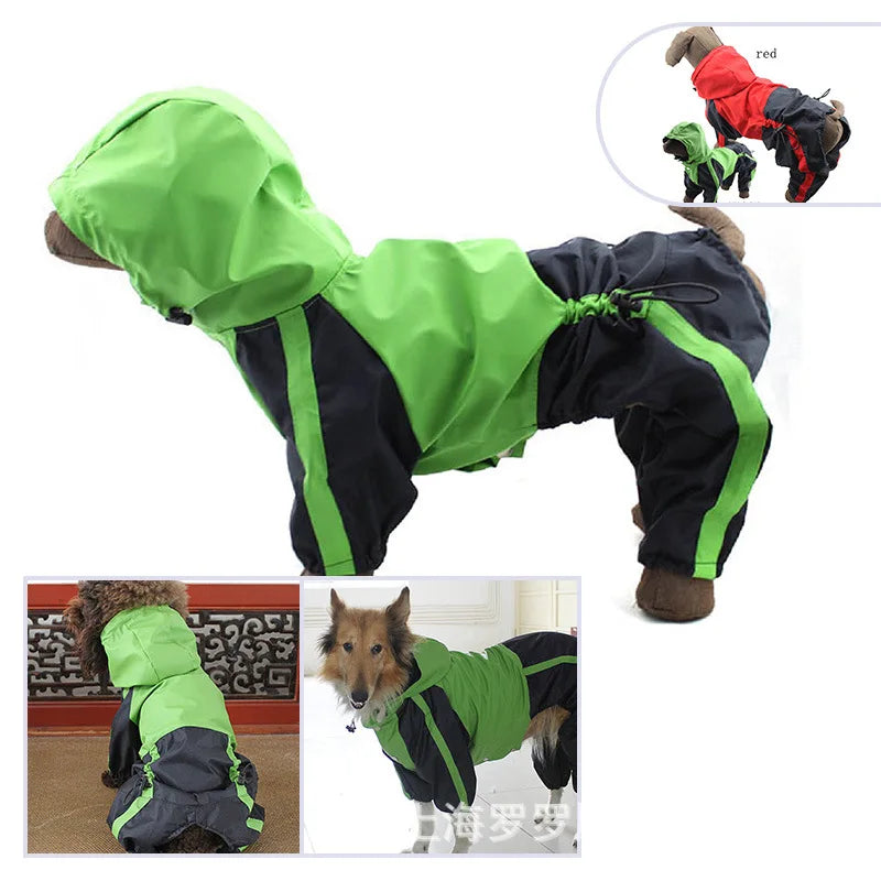 Manteau Chien Bull Terrier
