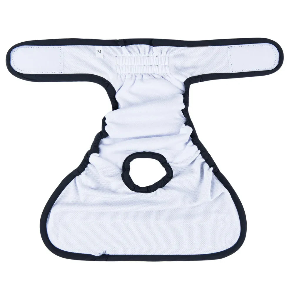 Couche pour Chien Règle / Incontinence