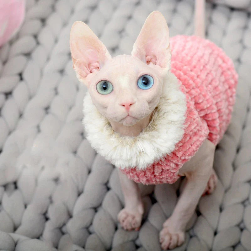 Pull à Fourrure pour Chat