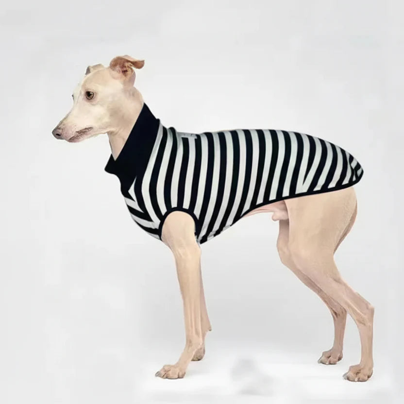 T Shirt Rayé En Coton Pour Lévrier Et Whippet Confortable