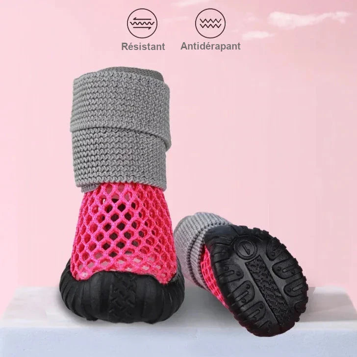 Chaussures Chihuahua & Petit Chien
