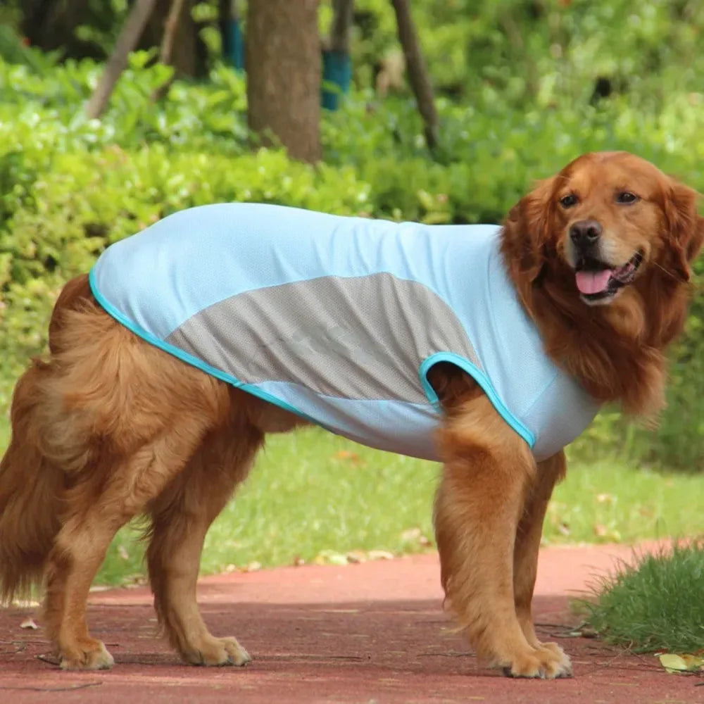 Gilet Rafraîchissant pour Grand Chien