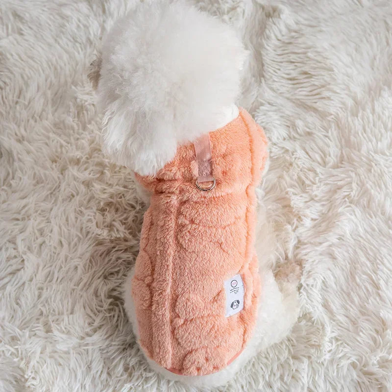 Pull Chaud Chien