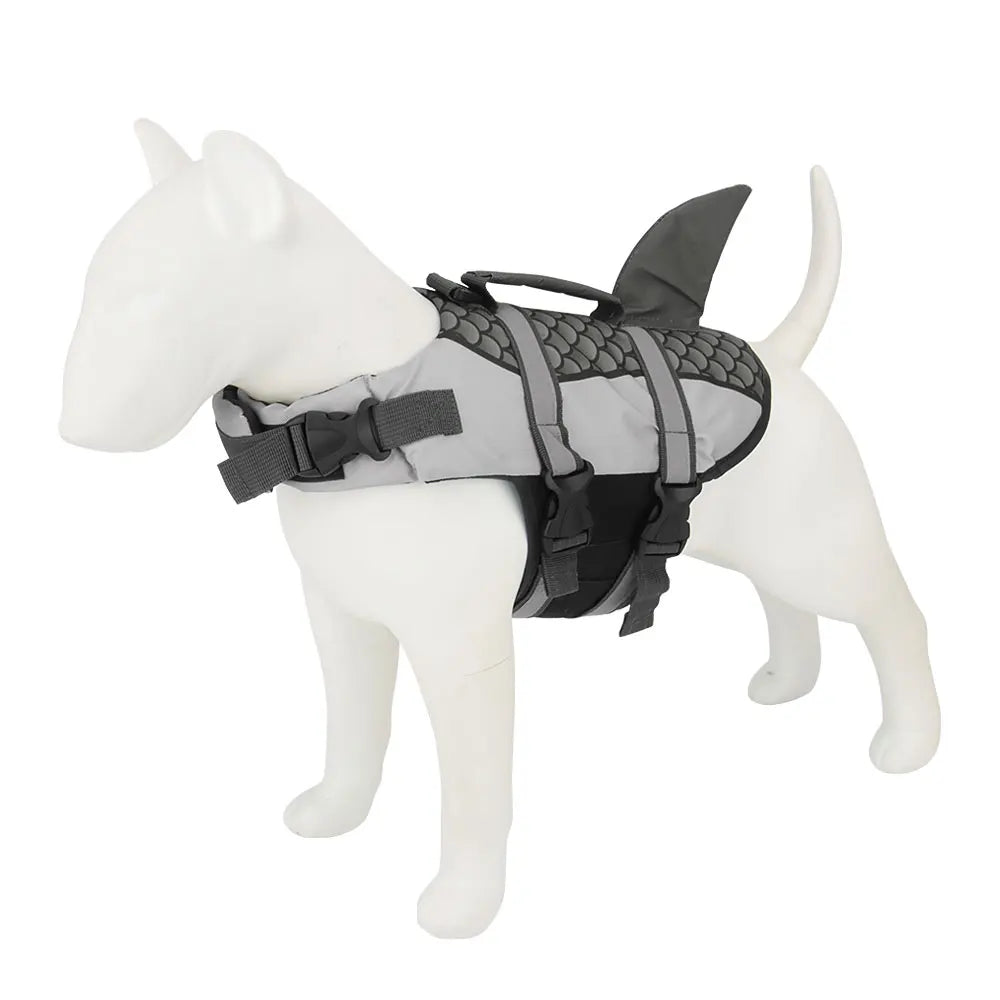 gilet requin chien gris