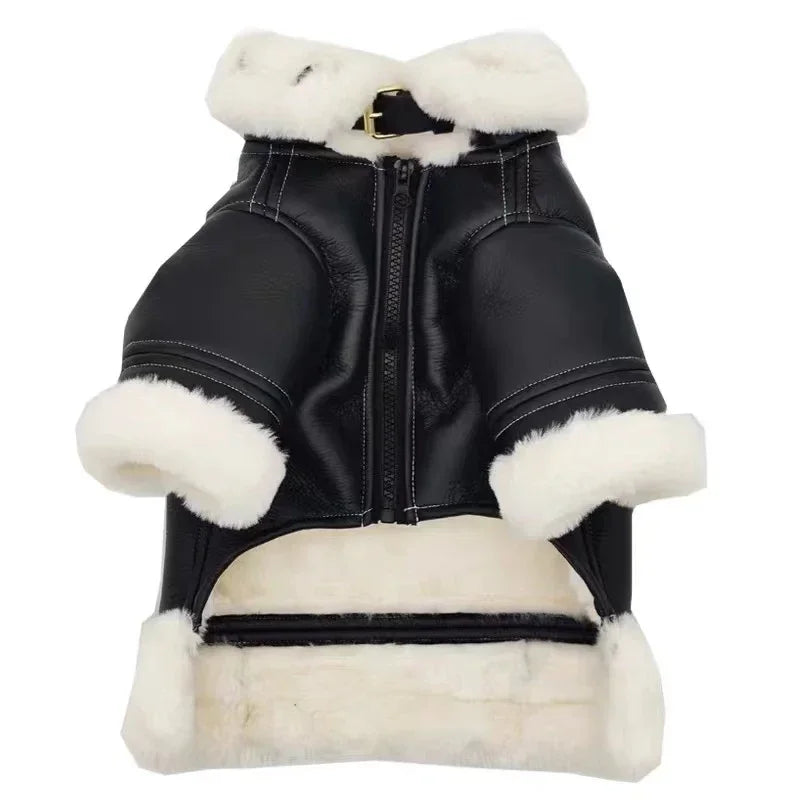 Blouson Aviateur pour Chien