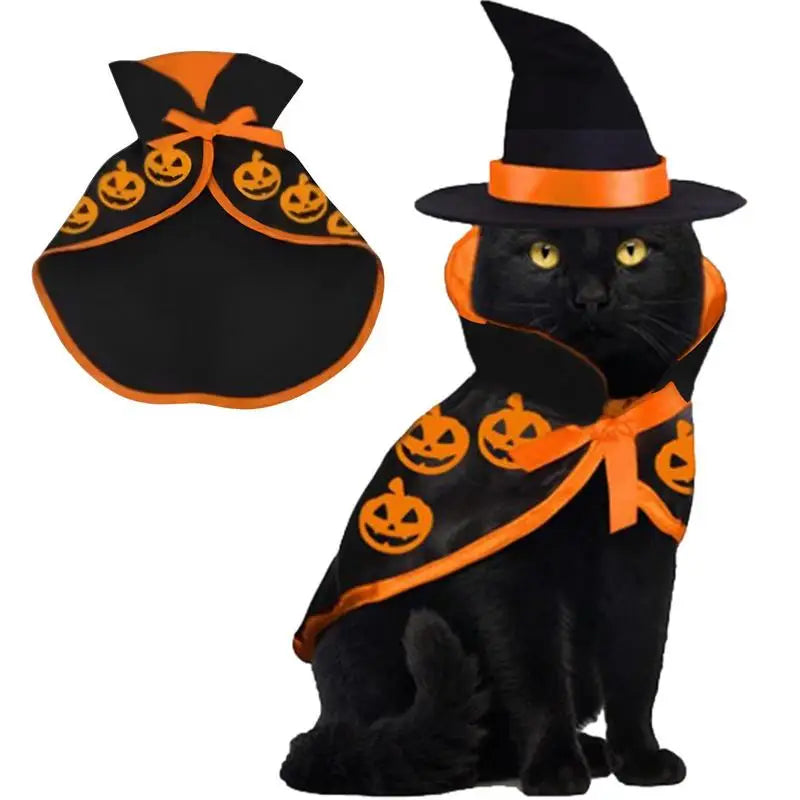 Déguisement Halloween Chat