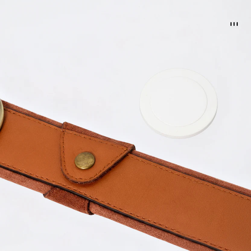 Collier En Cuir Avec Emplacement AirTag Pour Chien
