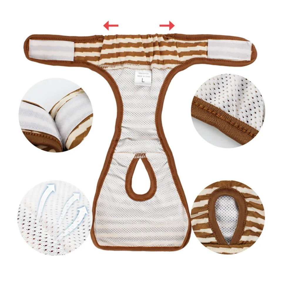 Culotte Menstruelle / Incontinence Chien