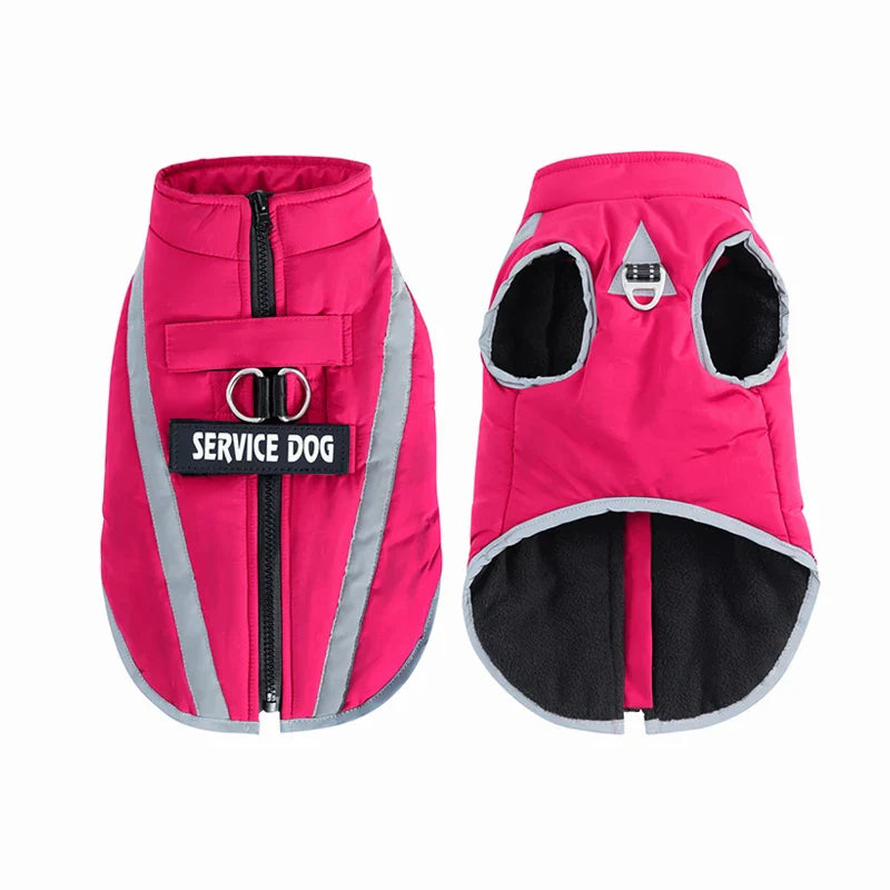 Veste Chien Hiver