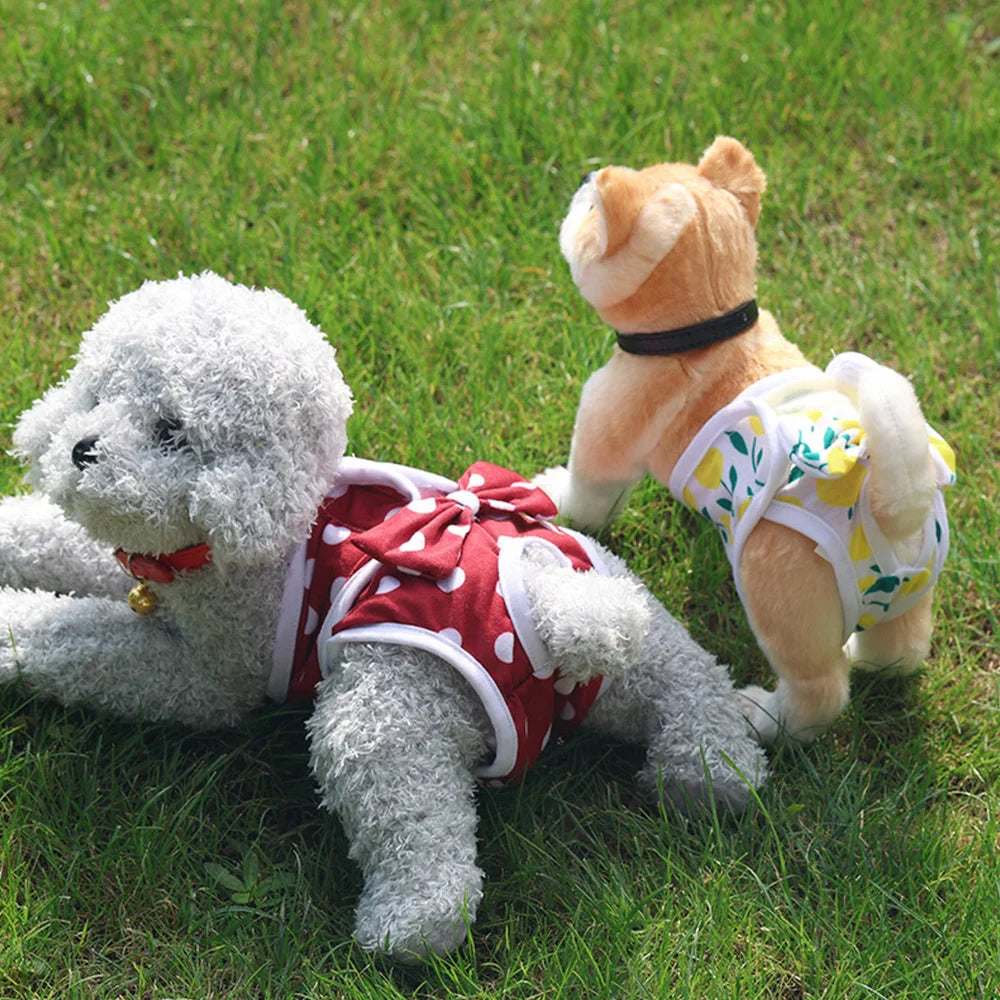 Couche pour Chien Femelle